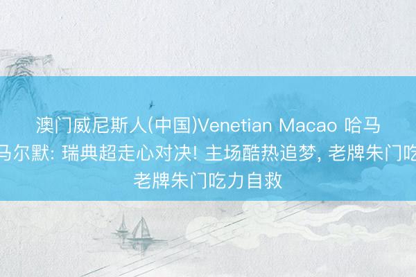澳门威尼斯人(中国)Venetian Macao 哈马比 VS 马尔默: 瑞典超走心对决! 主场酷热追梦， 老牌朱门吃力自救