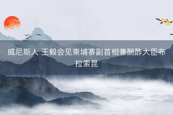 威尼斯人 王毅会见柬埔寨副首相兼酬酢大臣布拉索昆