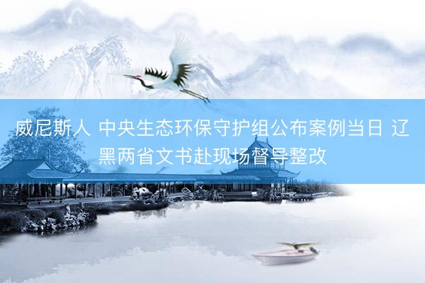威尼斯人 中央生态环保守护组公布案例当日 辽黑两省文书赴现场督导整改